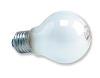 Bulbs